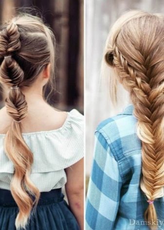 Как плести колосок - фото и пошаговые инструкции для нчинающих, как плести ребенку и самой себе