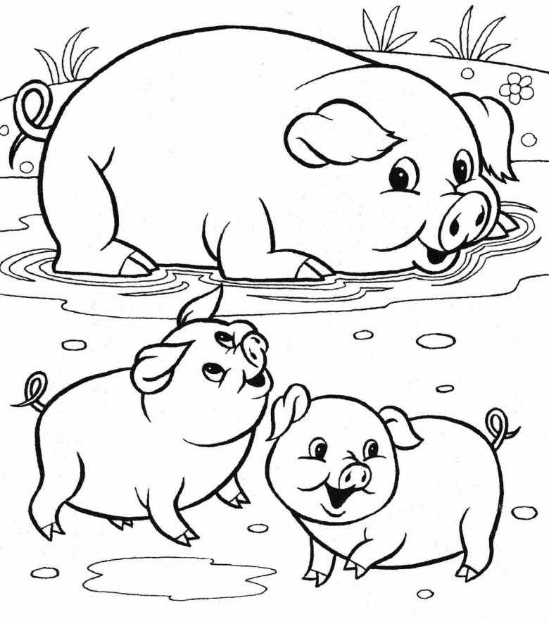 Как нарисовать свинью карандашом — простые пошаговые мастер-классы для начинающих31