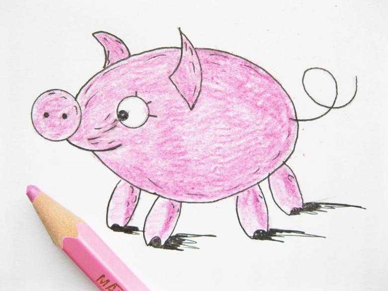 Как нарисовать свинью карандашом — простые пошаговые мастер-классы для начинающих23
